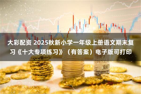 大彩配资 2025秋新小学一年级上册语文期末复习《十大专项练习》（有答案）电子版可打印
