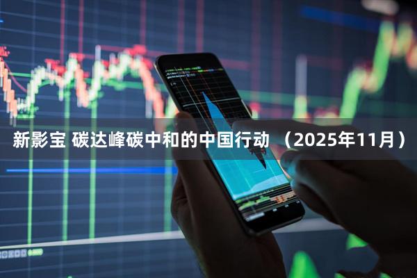 新影宝 碳达峰碳中和的中国行动 （2025年11月）