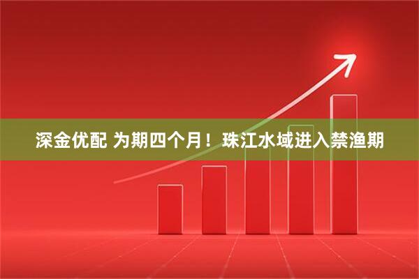 深金优配 为期四个月！珠江水域进入禁渔期